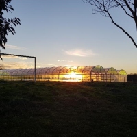 Farm greenhouse